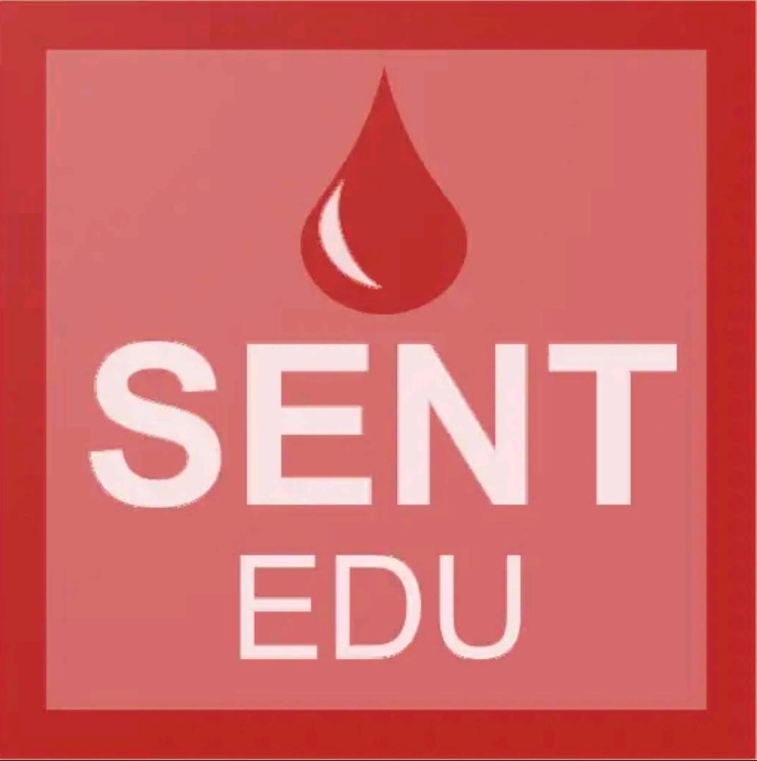 Logo aplikacji mobilnej SENT DOSTAWY EDU. Rysunek przedstawia logo aplikacji mobilnej SENT DOSTAWY EDU w kolorze czerwonym.
